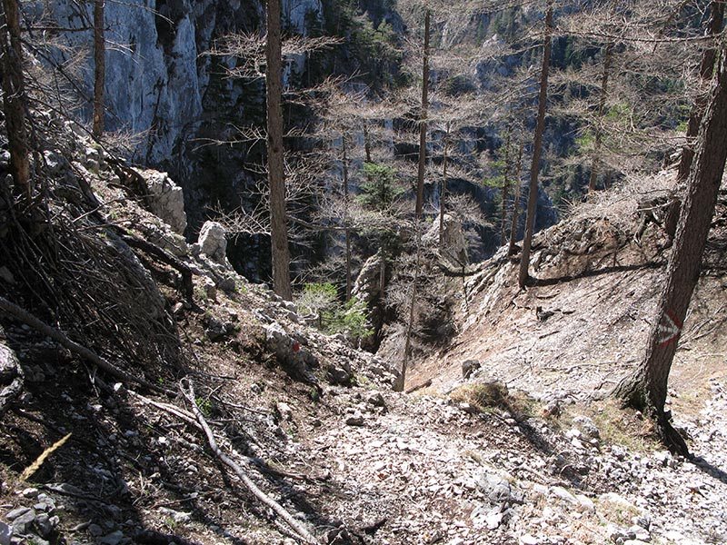 spielmannkogel